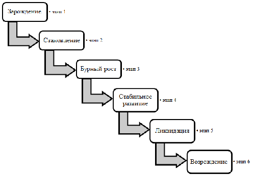Этапы развития бизнеса схема
